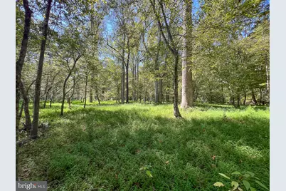 10812 Millridge Lane, Spotsylvania, VA 22553 - Photo 24