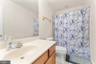 5804 Telluride Ln, Spotsylvania, VA 22553 - Photo 44