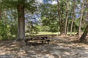 7409 River Rd, Fredericksburg, VA 22407 - Photo 76