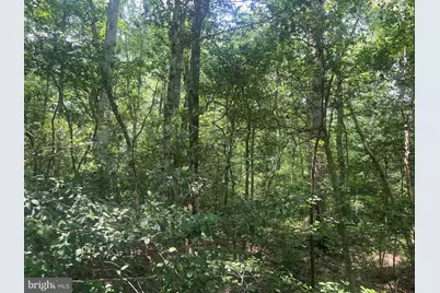 5517 Forest View Drive, Partlow, VA 22534 - Photo 6