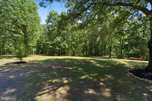 8405 Shirley Rd, Unionville, VA 22567 - Photo 34