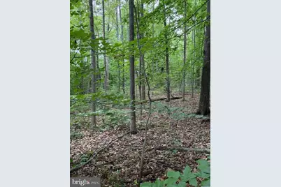 15413 Drummers Lane, Orange, VA 22960 - Photo 1