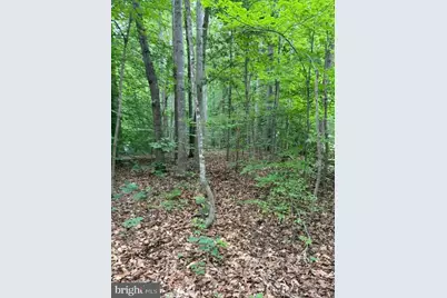 15413 Drummers Lane, Orange, VA 22960 - Photo 6