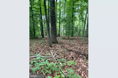 15413 Drummers Lane, Orange, VA 22960 - Photo 10