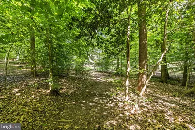8101 Avocet Way, Spotsylvania, VA 22553 - Photo 14