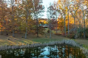 10325 Mill Pond Rd, Spotsylvania, VA 22551 - Photo 62