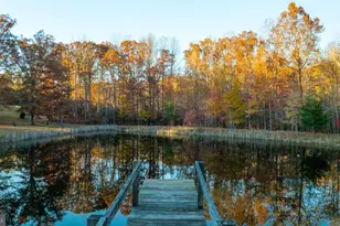 10325 Mill Pond Rd, Spotsylvania, VA 22551 - Photo 8