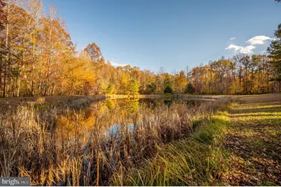 10325 Mill Pond Road, Spotsylvania, VA 22551 - Photo 14