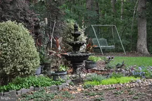 4203 Mt Vernon Pl, Fredericksburg, VA 22408 - Photo 48