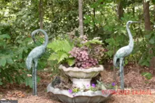 4203 Mt Vernon Pl, Fredericksburg, VA 22408 - Photo 56