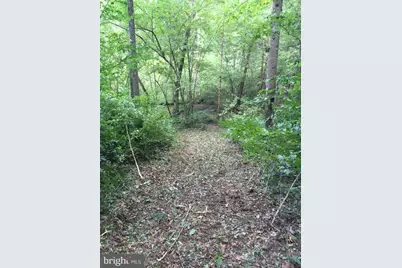 Assigned On Request, Partlow, VA 22534 - Photo 12