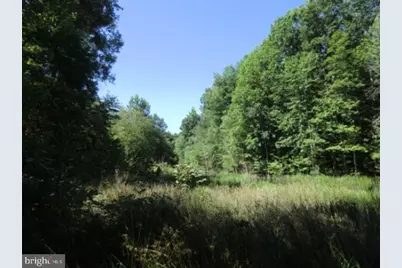 13610 Fifth Corps Lane, Fredericksburg, VA 22407 - Photo 20