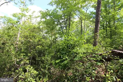8103 Old Mineral Springs Road, Fredericksburg, VA 22407 - Photo 6