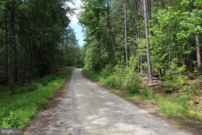 9911 Elys Ford Road, Fredericksburg, VA 22407 - Photo 10