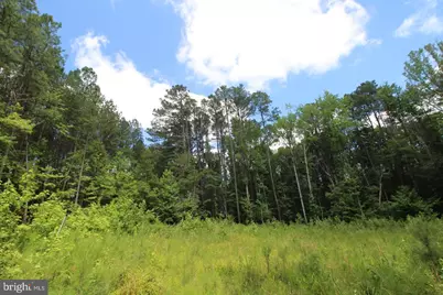 9911 Elys Ford Road, Fredericksburg, VA 22407 - Photo 8