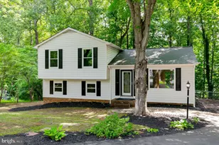 10001 Knotty Pine Ct, Spotsylvania, VA 22553 - Photo 4