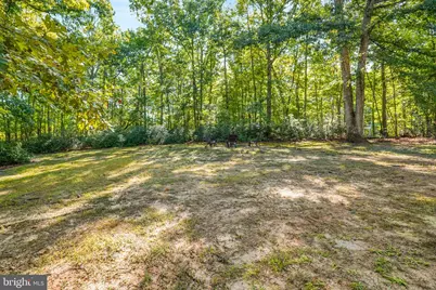 13615 S General Slocum Court, Fredericksburg, VA 22407 - Photo 62