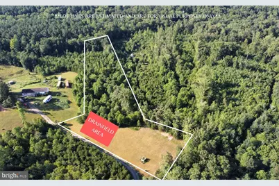 14822 Woolfolk Road, Spotsylvania, VA 22551 - Photo 2