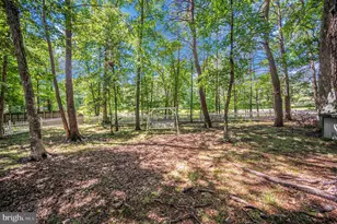 5802 Queen's Mill Cir, Fredericksburg, VA 22407 - Photo 50