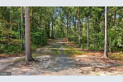 13009 Orange Plank Road, Locust Grove, VA 22508 - Photo 2