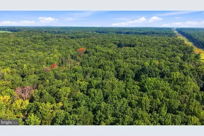 13009 Orange Plank Road, Locust Grove, VA 22508 - Photo 12