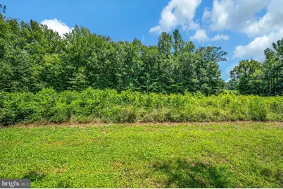 3401 Shirleys Hill Road, Partlow, VA 22534 - Photo 16
