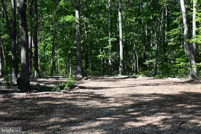 13017 Orange Plank Road, Locust Grove, VA 22508 - Photo 20