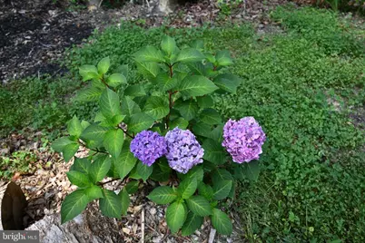 13017 Orange Plank Road, Locust Grove, VA 22508 - Photo 36
