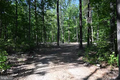 13017 Orange Plank Road, Locust Grove, VA 22508 - Photo 18