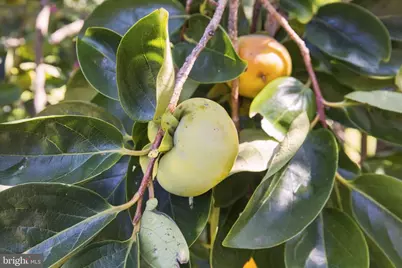 8020 Robert E Lee Drive, Spotsylvania, VA 22551 - Photo 2