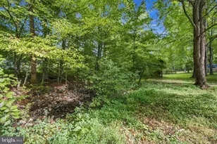 10708 Bentwood Ct, Spotsylvania, VA 22553 - Photo 40
