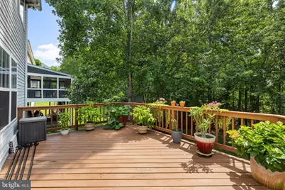 13003 Maple Springs Drive, Fredericksburg, VA 22408 - Photo 48