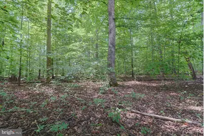 16533 Days Bridge Road, Orange, VA 22960 - Photo 12