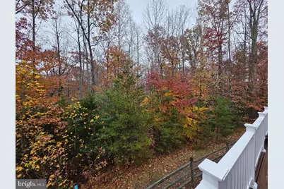 9007 McAlister Court, Fredericksburg, VA 22408 - Photo 66
