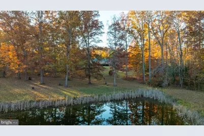 10325 Mill Pond Road, Spotsylvania, VA 22551 - Photo 58