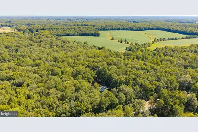 1007 Nine Mile Run Drive, Fredericksburg, VA 22407 - Photo 42