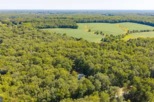 1007 9 Mile Run Dr, Fredericksburg, VA 22407 - Photo 42