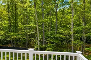 12400 Salient Ln, Spotsylvania, VA 22551 - Photo 4