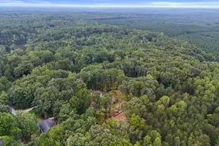2803 Amy Dr, Bumpass, VA 23024 - Photo 42