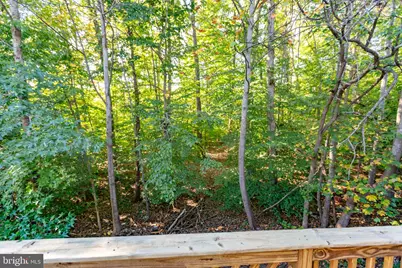 4268 Normandy Court, Fredericksburg, VA 22408 - Photo 50
