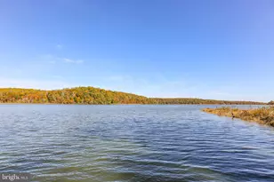 48 Old Creekside Rd, Fredericksburg, VA 22405 - Photo 70