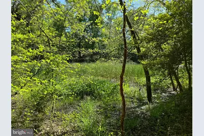 53 Betts Rd, Stafford, VA 22554 - Photo 24