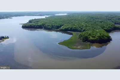 53 Betts Rd, Stafford, VA 22554 - Photo 10