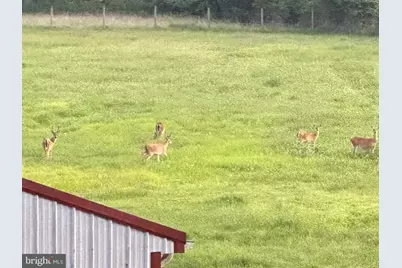 [Address not provided], Fredericksburg, VA 22406 - Photo 6