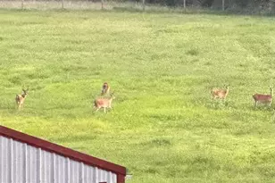 [Address not provided], Fredericksburg, VA 22406 - Photo 6