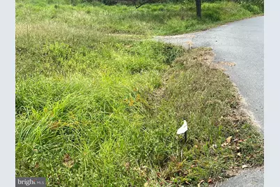 752 Widewater Road, Stafford, VA 22554 - Photo 22