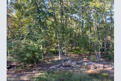 48 Waller Point Drive, Stafford, VA 22554 - Photo 10