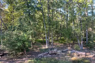 48 Waller Point Dr, Stafford, VA 22554 - Photo 10