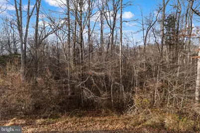 19 Puller Place, Stafford, VA 22556 - Photo 66