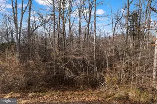 19 Puller Pl, Stafford, VA 22556 - Photo 66